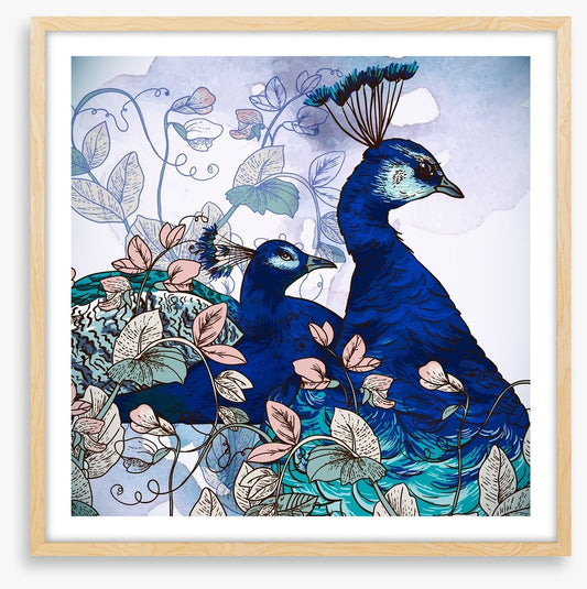 Peacock pair