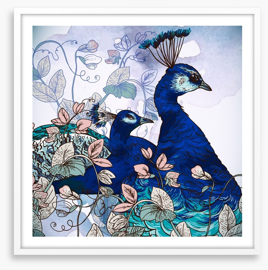 Peacock pair