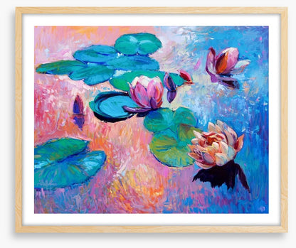 Water lilies
