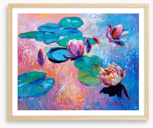 Water lilies