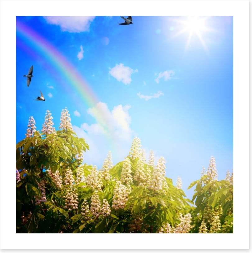 Rainbows