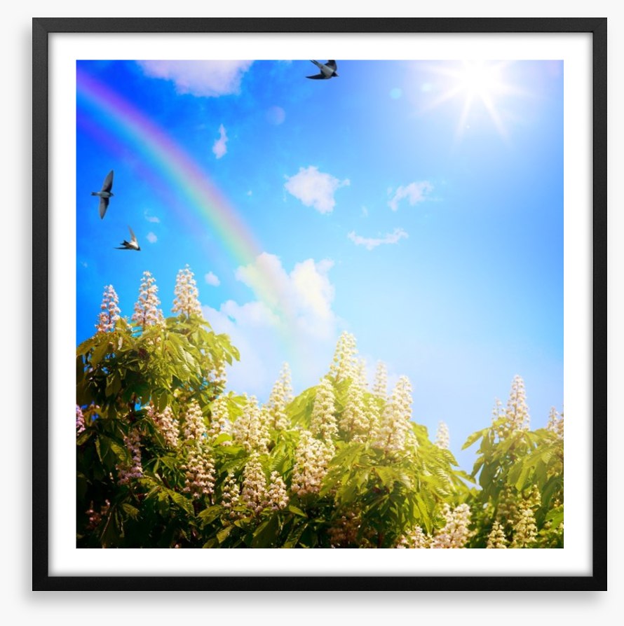 Rainbows