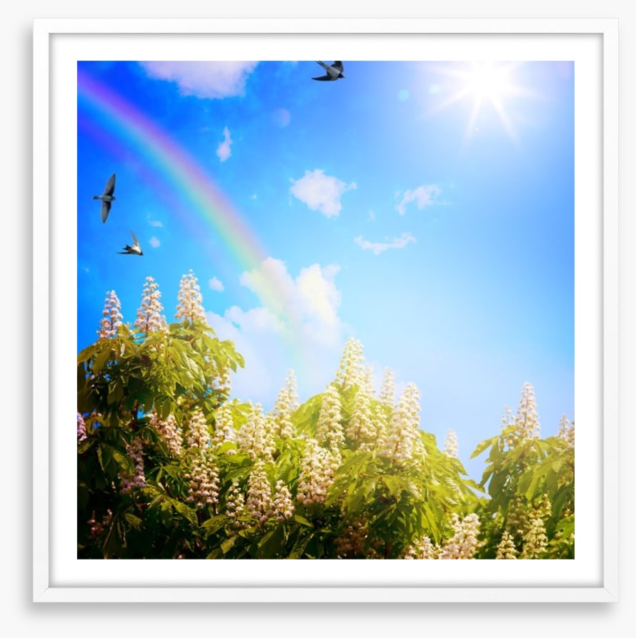 Rainbows