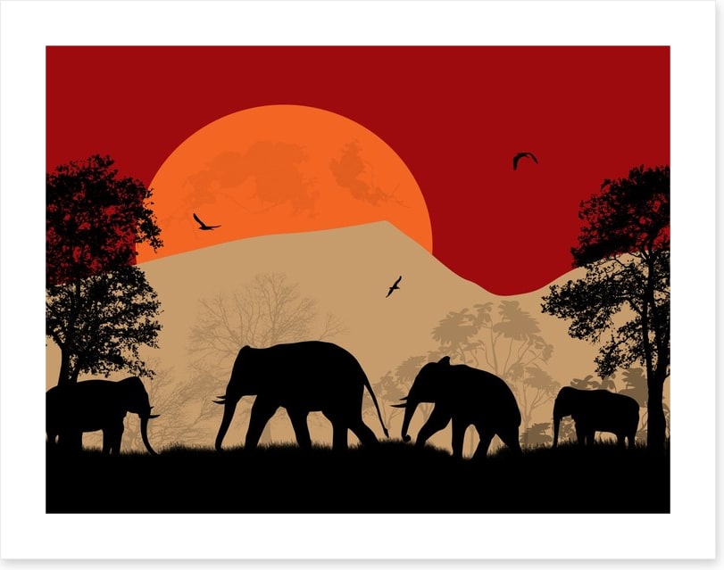 Savanna sunset