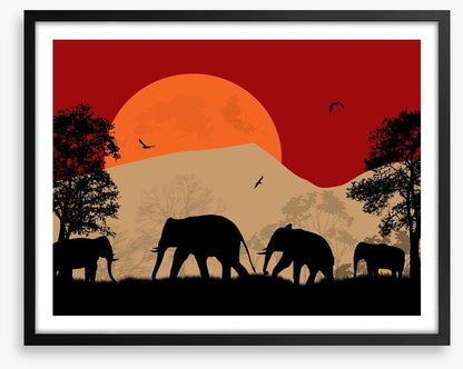 Savanna sunset