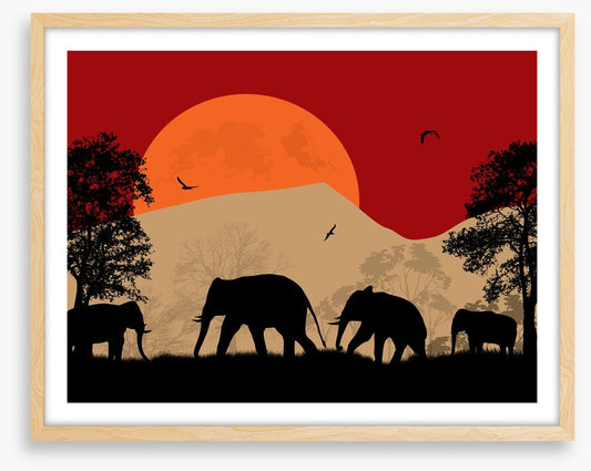 Savanna sunset