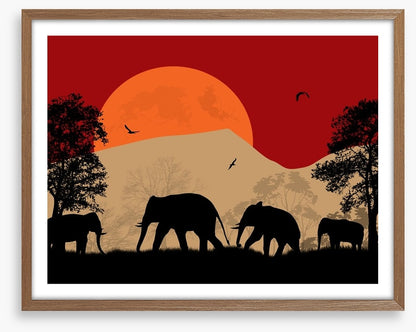 Savanna sunset