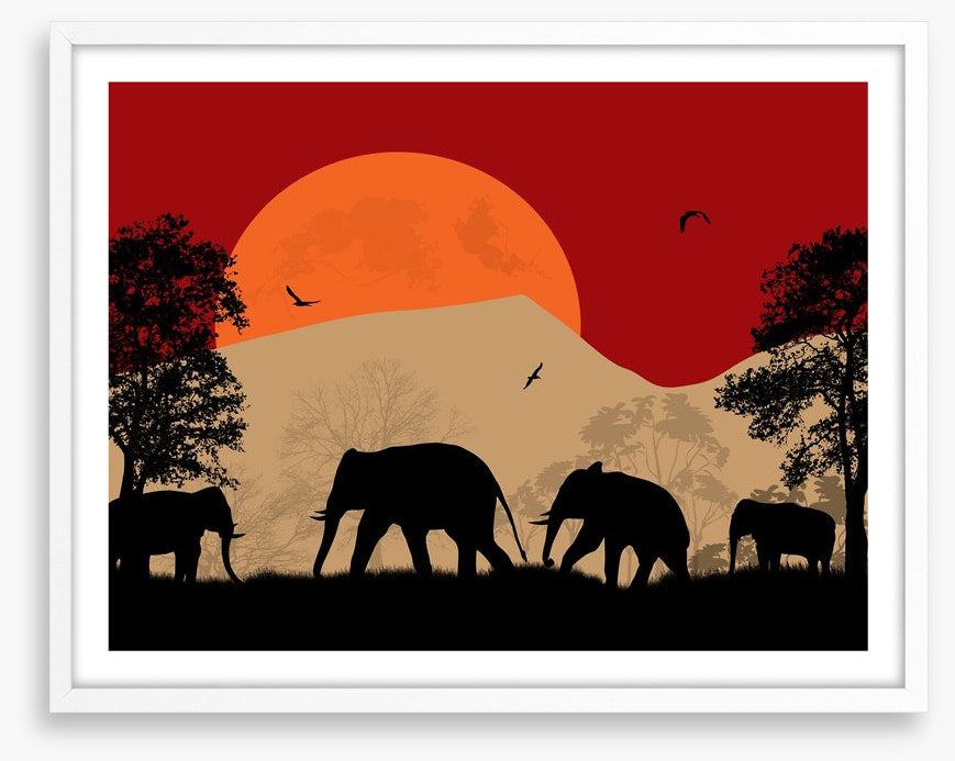 Savanna sunset