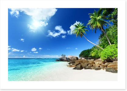 Seychelles shores