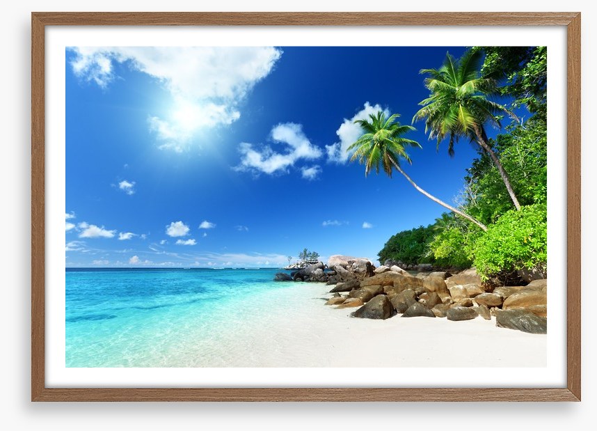 Seychelles shores