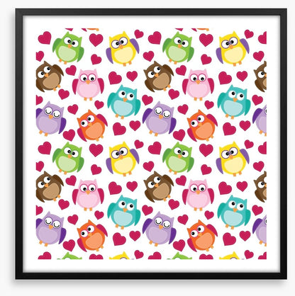Owls