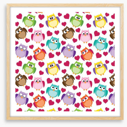 Owls