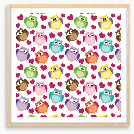 Owls
