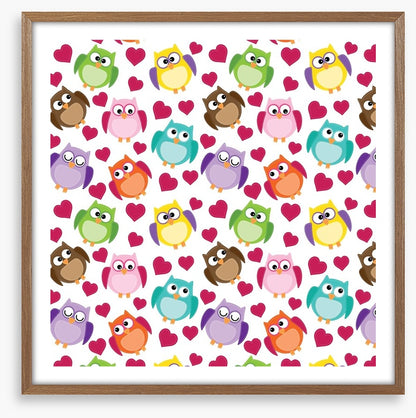 Owls