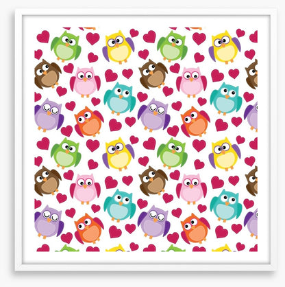 Owls