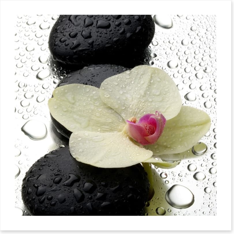 The patter of raindrops