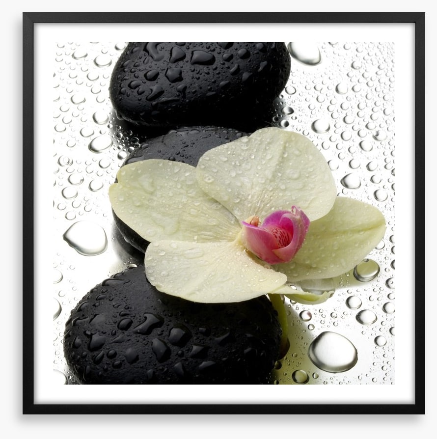 The patter of raindrops