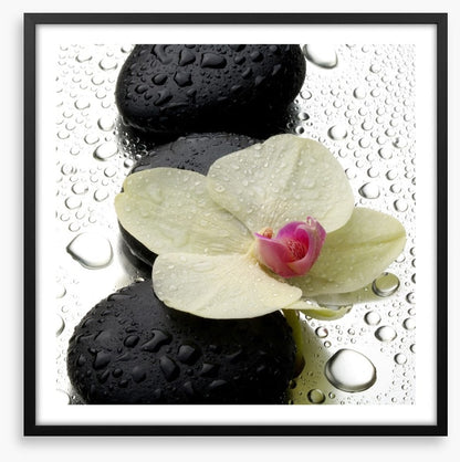 The patter of raindrops