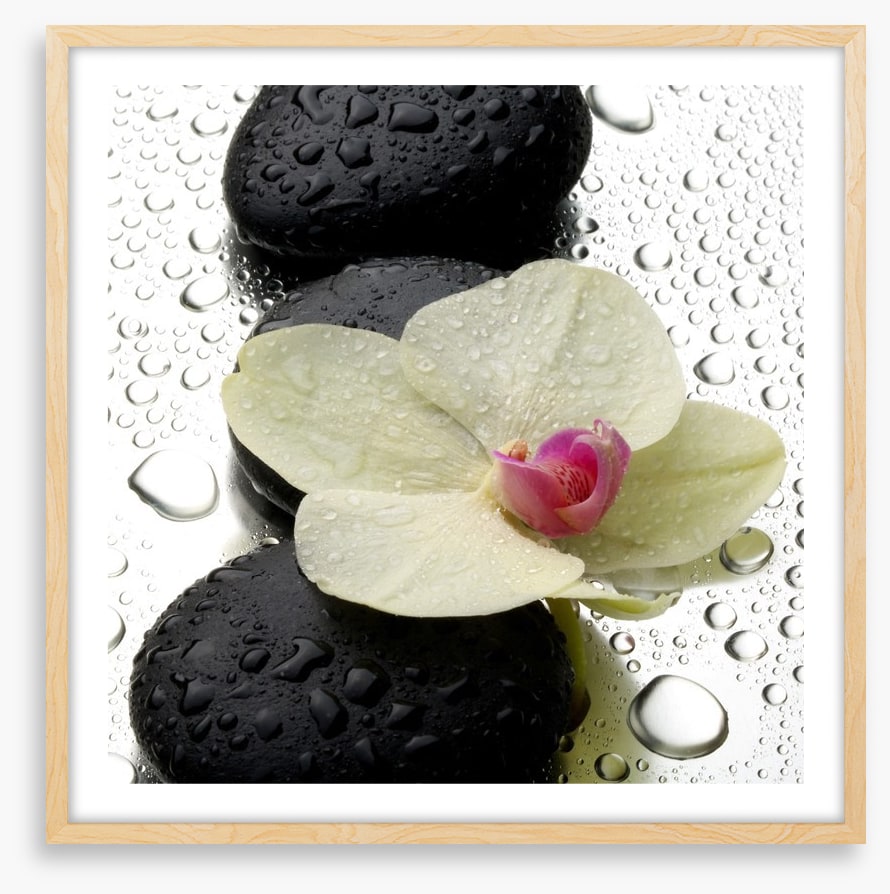 The patter of raindrops