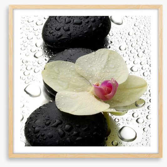 The patter of raindrops