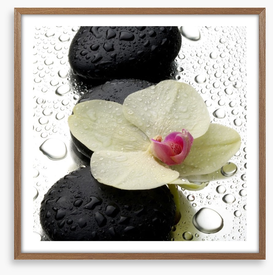 The patter of raindrops