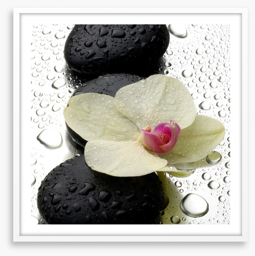 The patter of raindrops