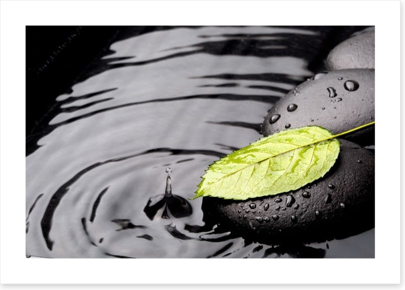 Green leaf