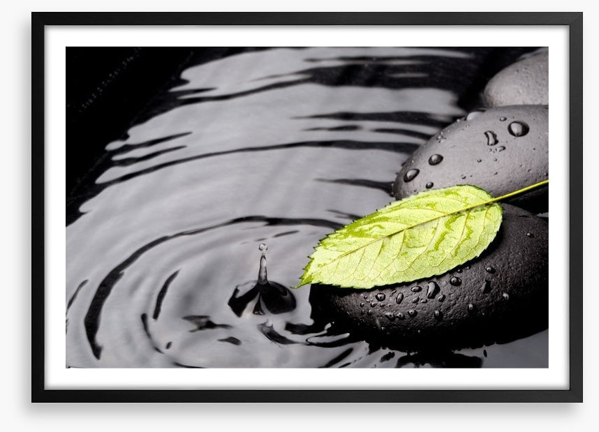 Green leaf