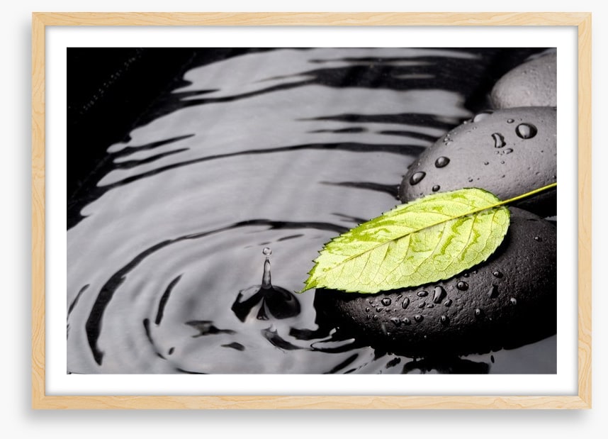 Green leaf