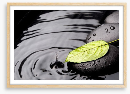 Green leaf