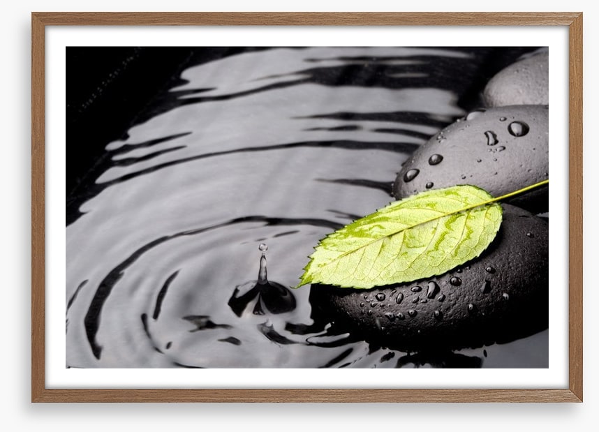 Green leaf