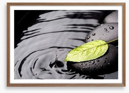 Green leaf