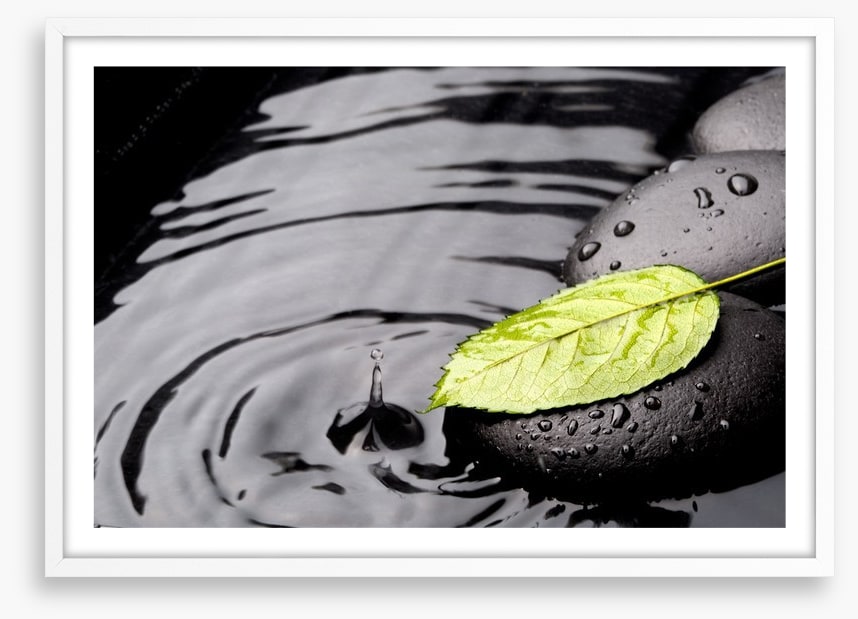 Green leaf