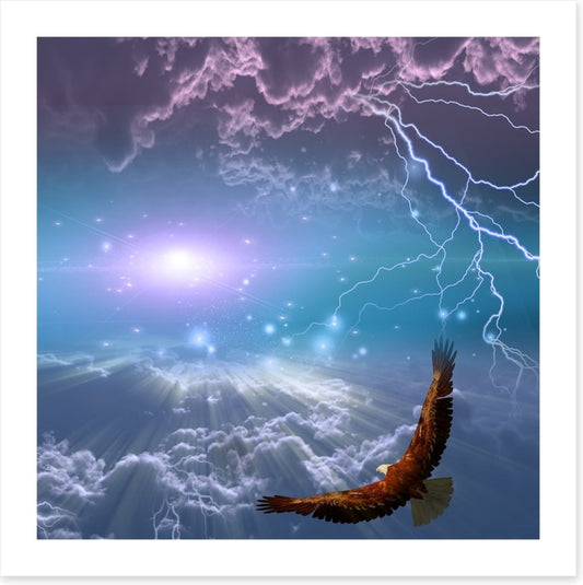Flight to the light