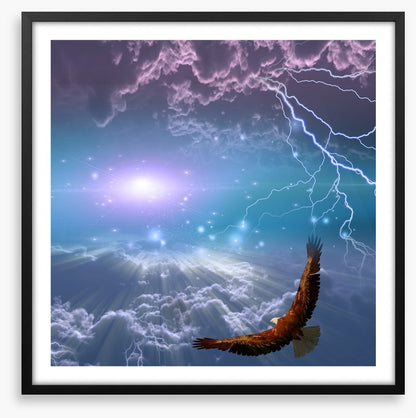 Flight to the light