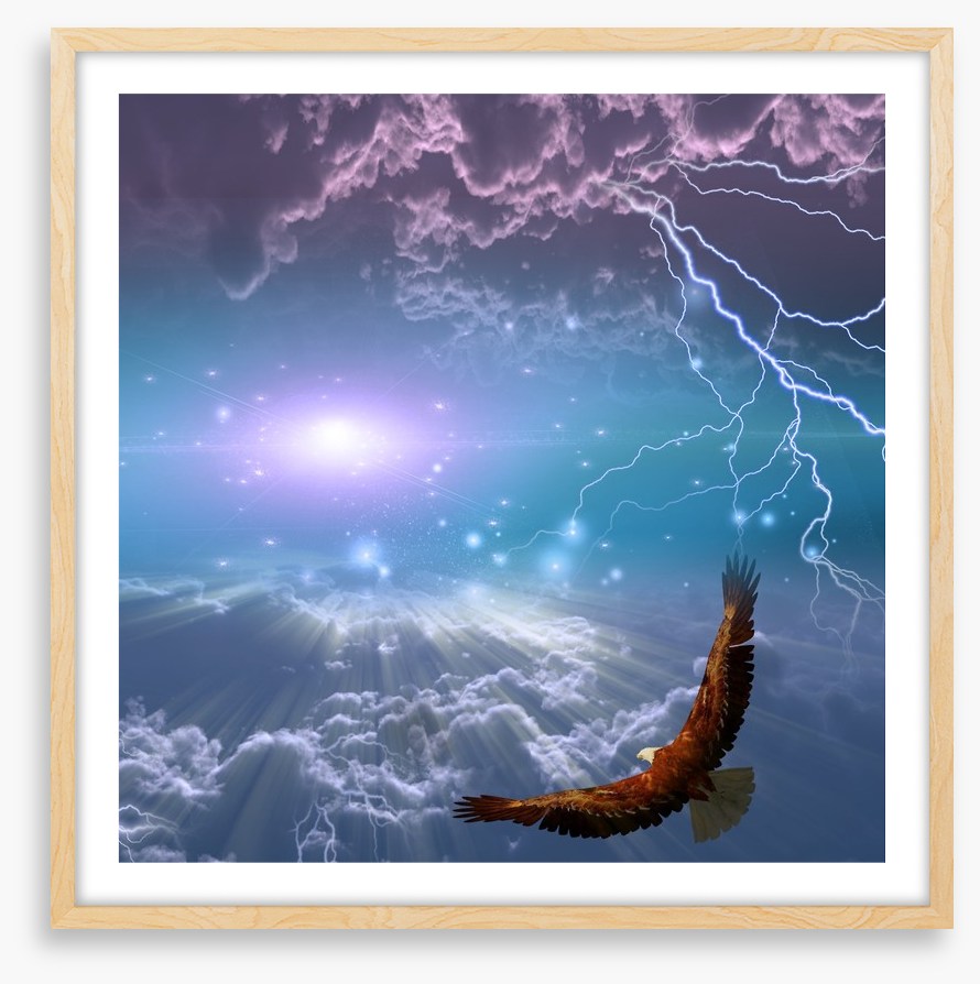 Flight to the light