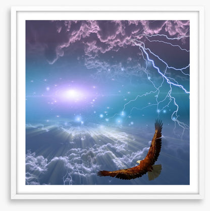 Flight to the light
