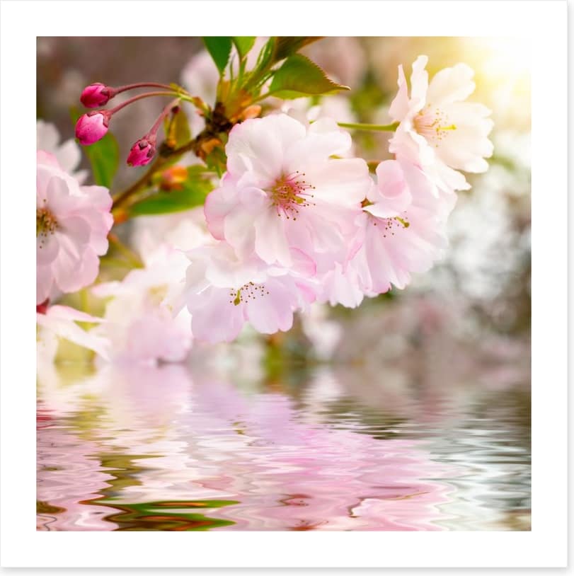 Awakening spring