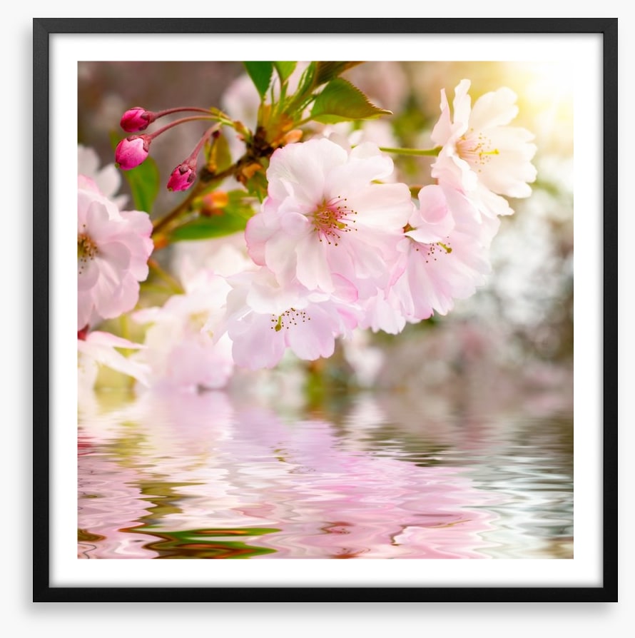 Awakening spring