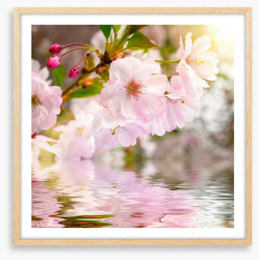 Awakening spring