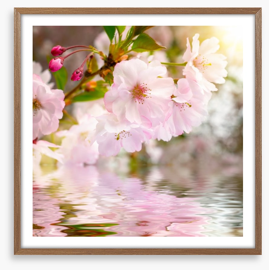 Awakening spring