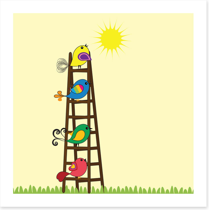Sun ladder birds