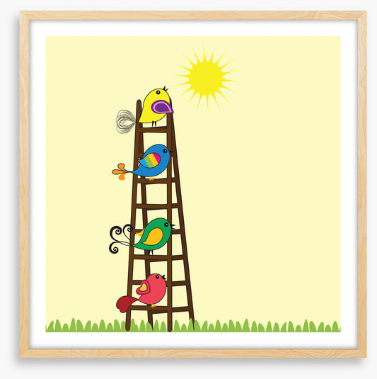 Sun ladder birds