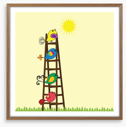 Sun ladder birds