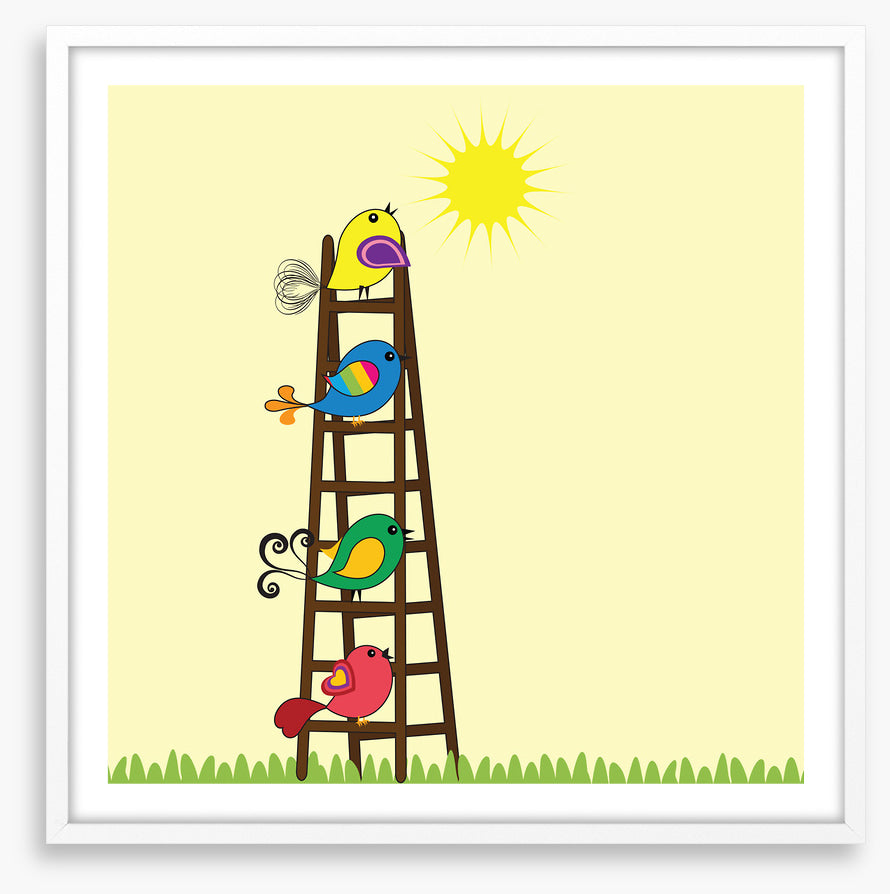 Sun ladder birds