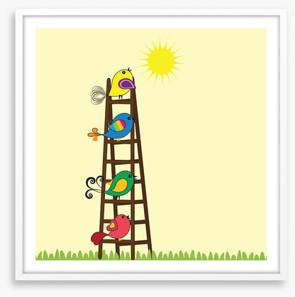 Sun ladder birds