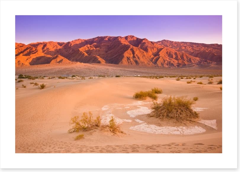 Desert