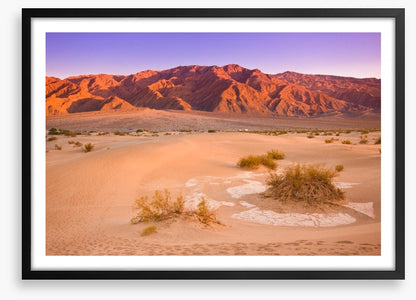 Desert