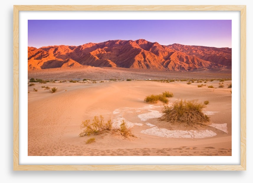 Desert