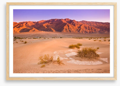 Desert